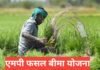 MP Fasal Bima Yojana 2026 : फसल बीमा, प्रीमियम, क्लेम प्रक्रिया MP Fasal Bima Yojana 2026