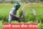 MP Fasal Bima Yojana 2026