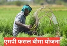 MP Fasal Bima Yojana 2026 : फसल बीमा, प्रीमियम, क्लेम प्रक्रिया MP Fasal Bima Yojana 2026