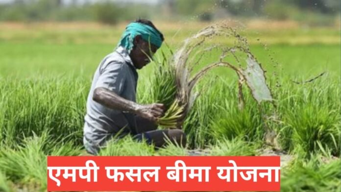 MP Fasal Bima Yojana 2026